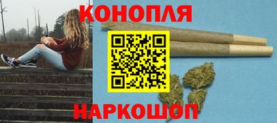 гидропоника Можга
