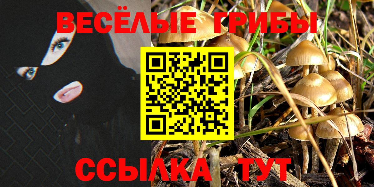 Псилоцибиновые грибы ЛСД Нефтекумск